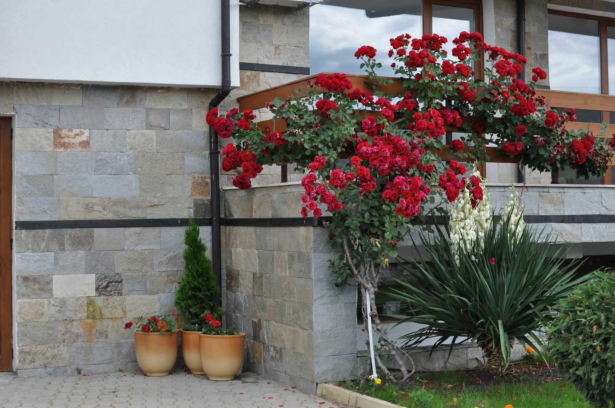 Gardenia Hills Hotel Sunny Beach Exterior foto